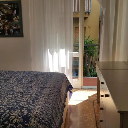 Orsetta