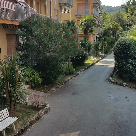Orsetta
